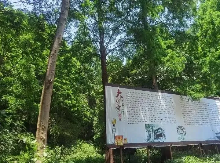 景点旅行攻略《浙江吴哥专属》0元逛陆游打卡的千年古寺!