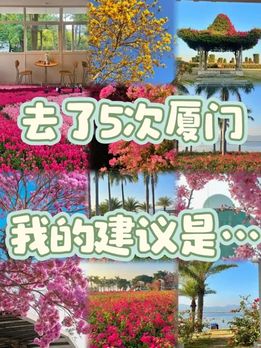 厦门春日旅行全攻略,土著私藏的出片圣地+避坑指南