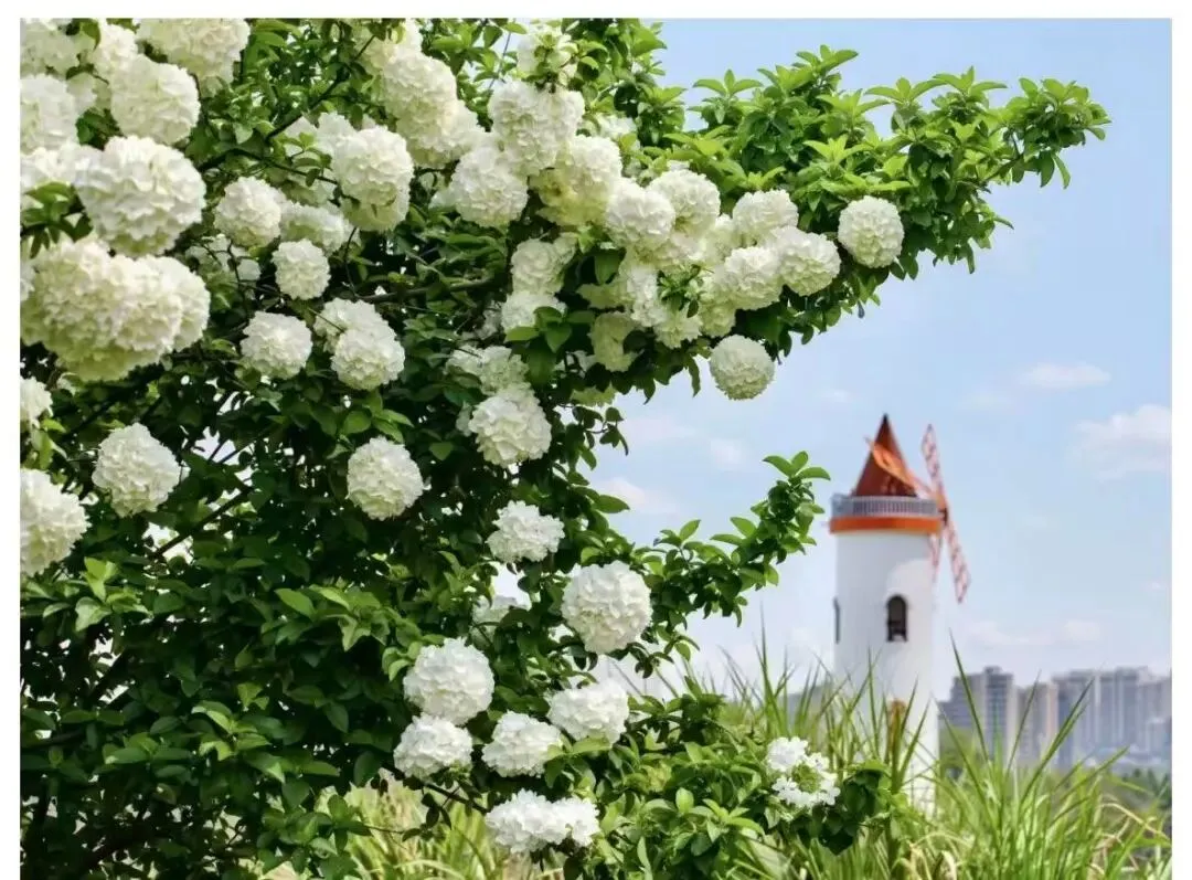 【旅行攻略】带娃解锁千岛湖新玩法| 古村、植物园、理想花园全