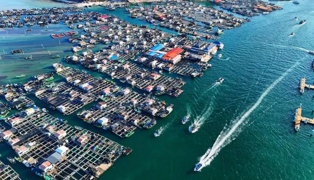 海南陵水旅游攻略:分界洲岛的玻璃海,疍家渔排的灯火,椰田古寨的歌声,喝着椰青,等一场不赶时间的日落!