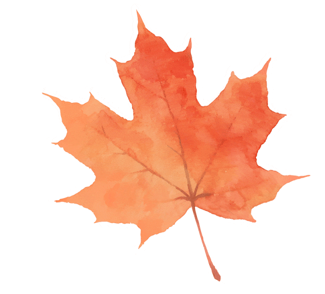 【心灵解码】摸鱼刷的不是旅行攻略,是“工位越狱”的蓝图!