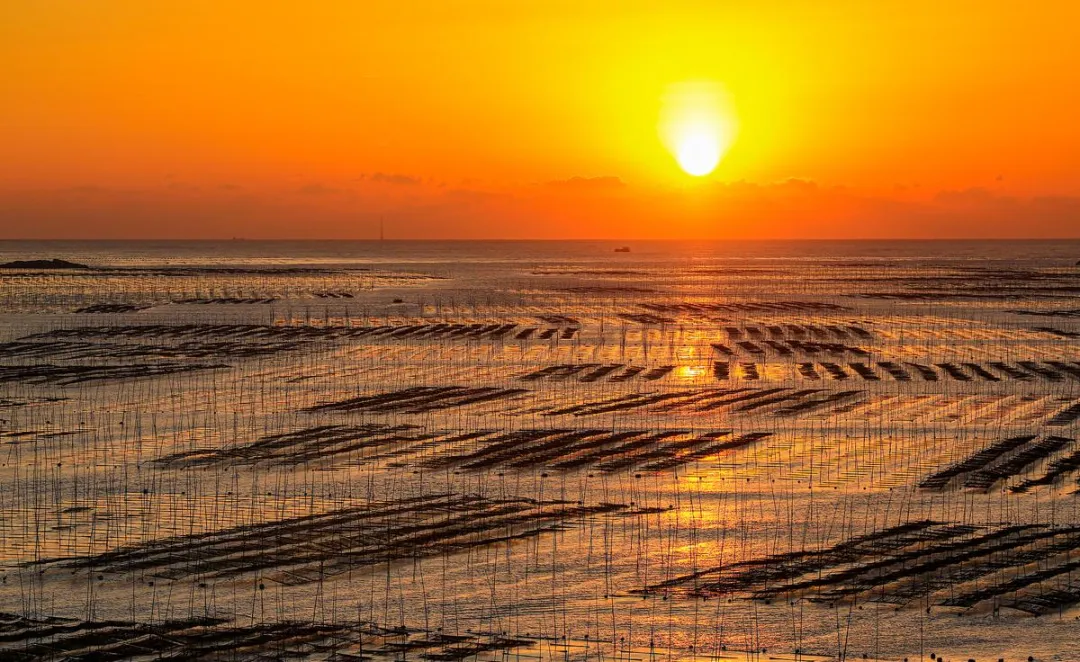 福建旅行不烧钱指南|这7个目的地,让你轻松实现穷游梦
