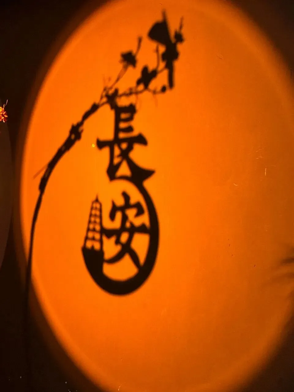 赴一场长安之约|西安旅游全攻略,解锁十三朝古都的烟火与诗意