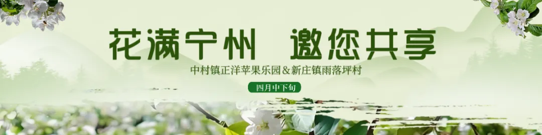 “花满宁州”田园文化艺术旅游周活动旅游攻略 一份来自宁县融媒体中心的保姆级游玩指南