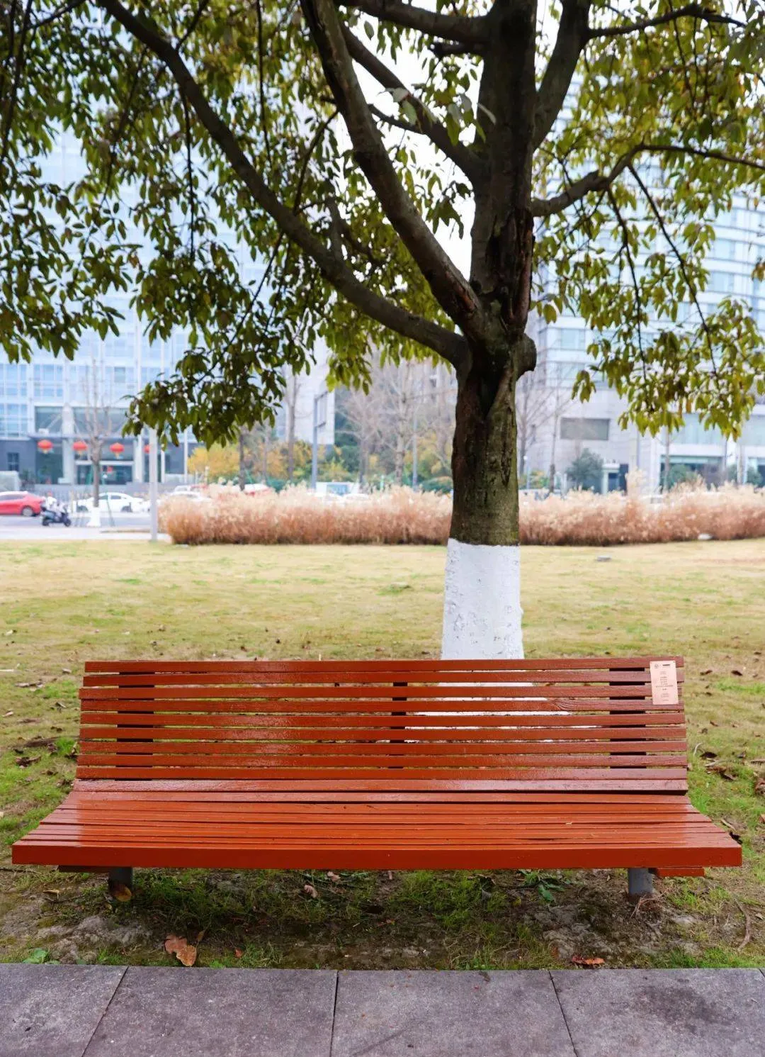 “不花钱的快乐”旅行指南:公园、博物馆、老街、日落,都是免费的