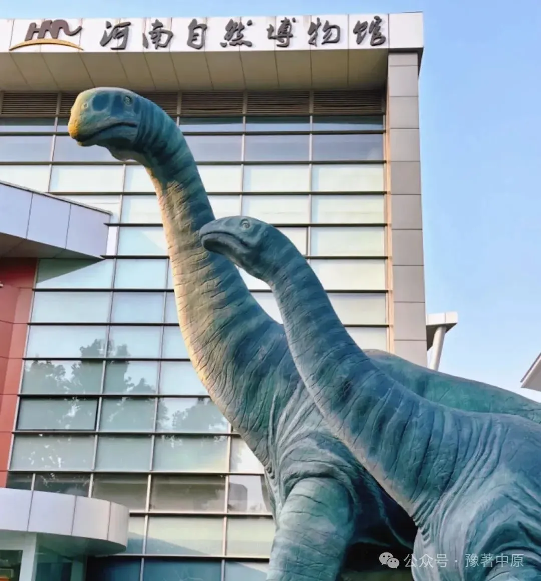 五一游郑州:19处免费景点攻略,带你玩转郑州