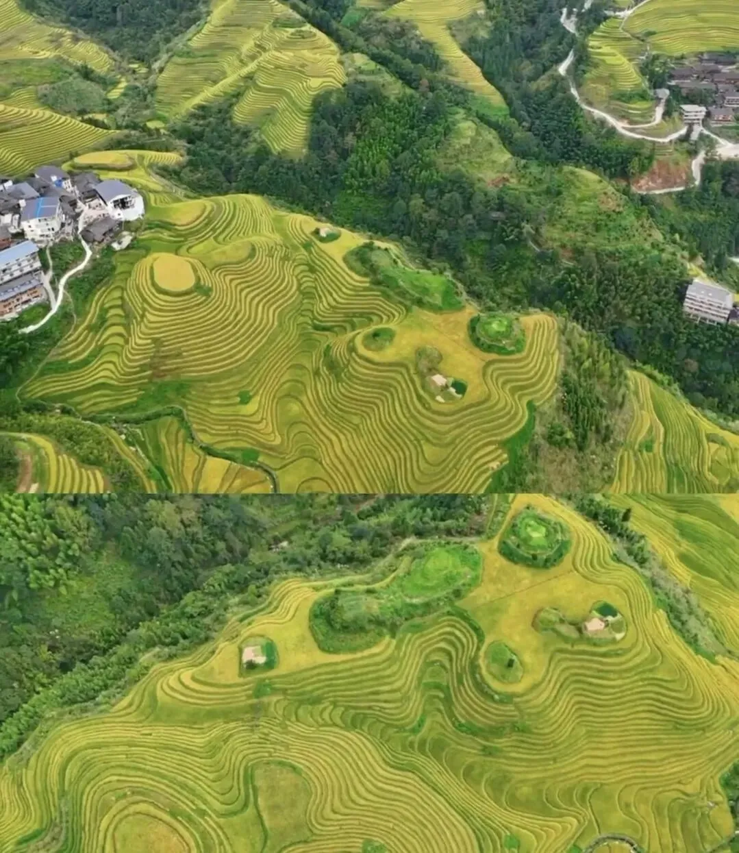 三月三,来广西旅游可以去哪里?(一站式保姆攻略来了!)