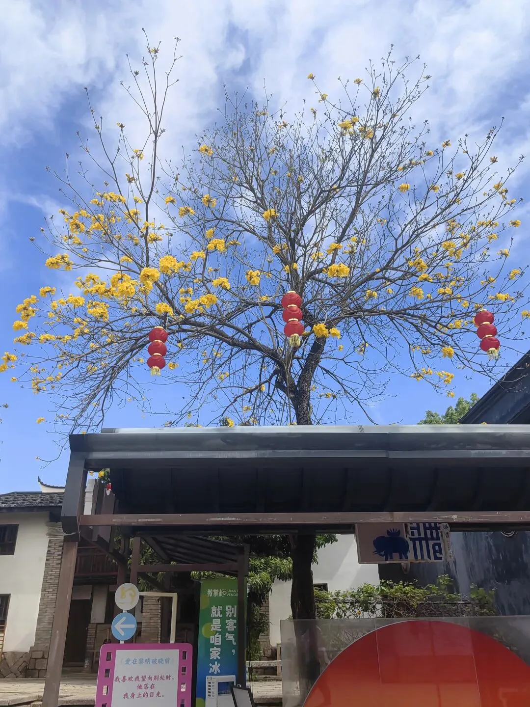 月薪7000,如何每年旅行4次?我的省钱攻略全公开