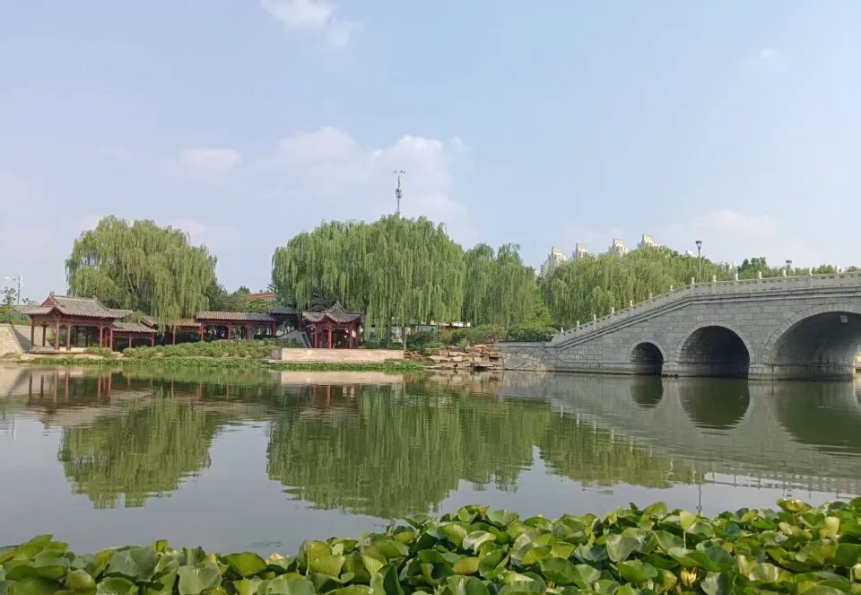 菏泽牡丹园周边免费景点!五一省钱攻略