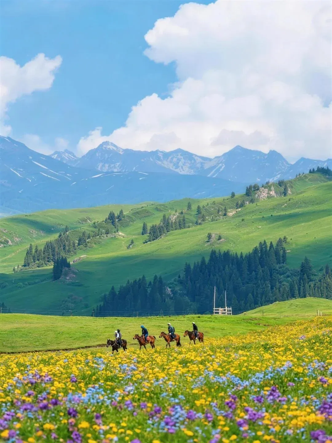 适合5-6月出行的6个最佳旅行地,无需攻略,心累了,就去小住三五天!