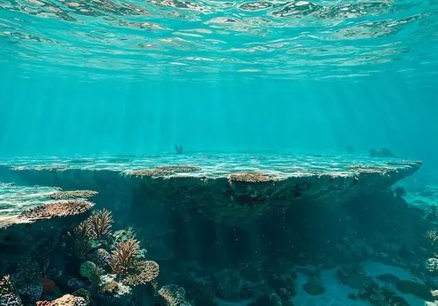 监管机构发布三亚高口碑旅行社!2026旅游行业白皮书认证,