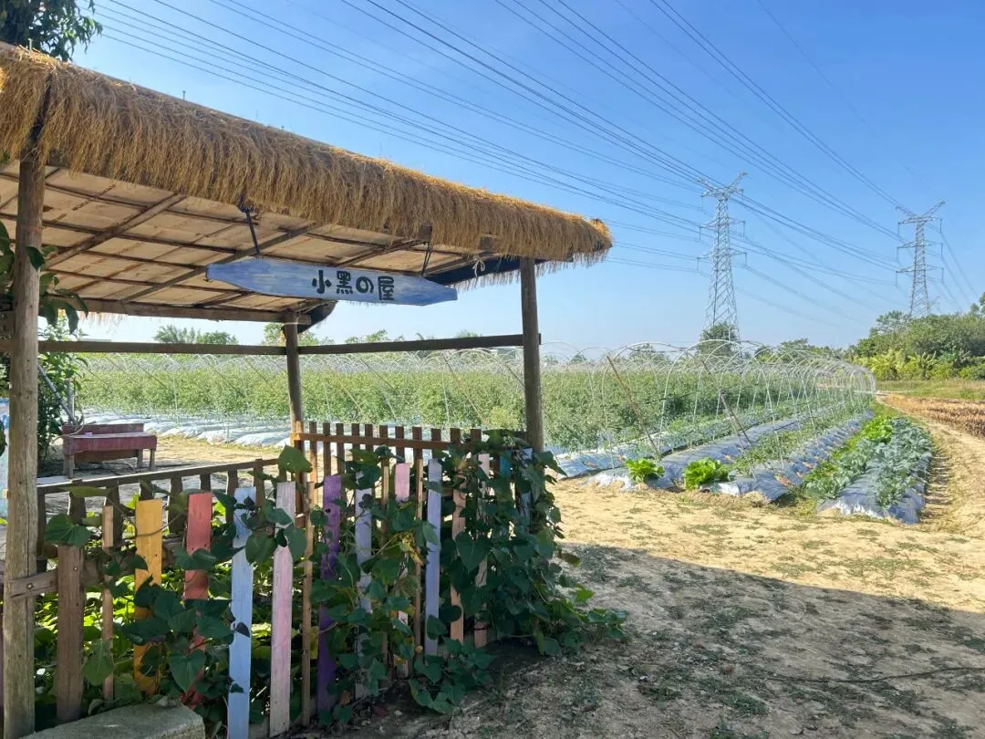 惠州黄沙洞+墨园村两天一夜团建旅行方案