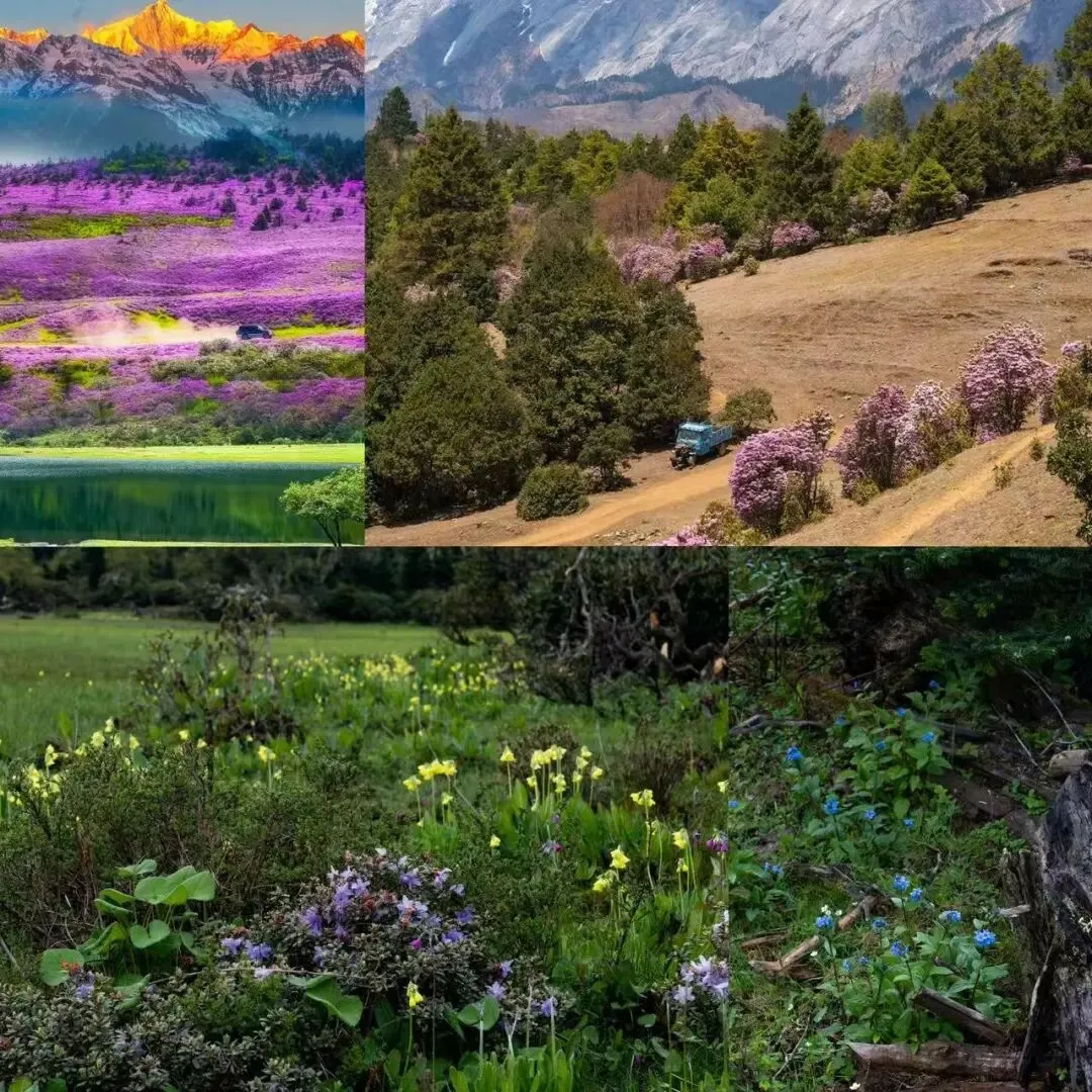 云南旅游攻略|8天7晚从昆明-大理-丽江-香格里拉经典路线