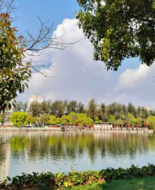 3 次昆明深度游玩后,总结出保姆级旅行攻略