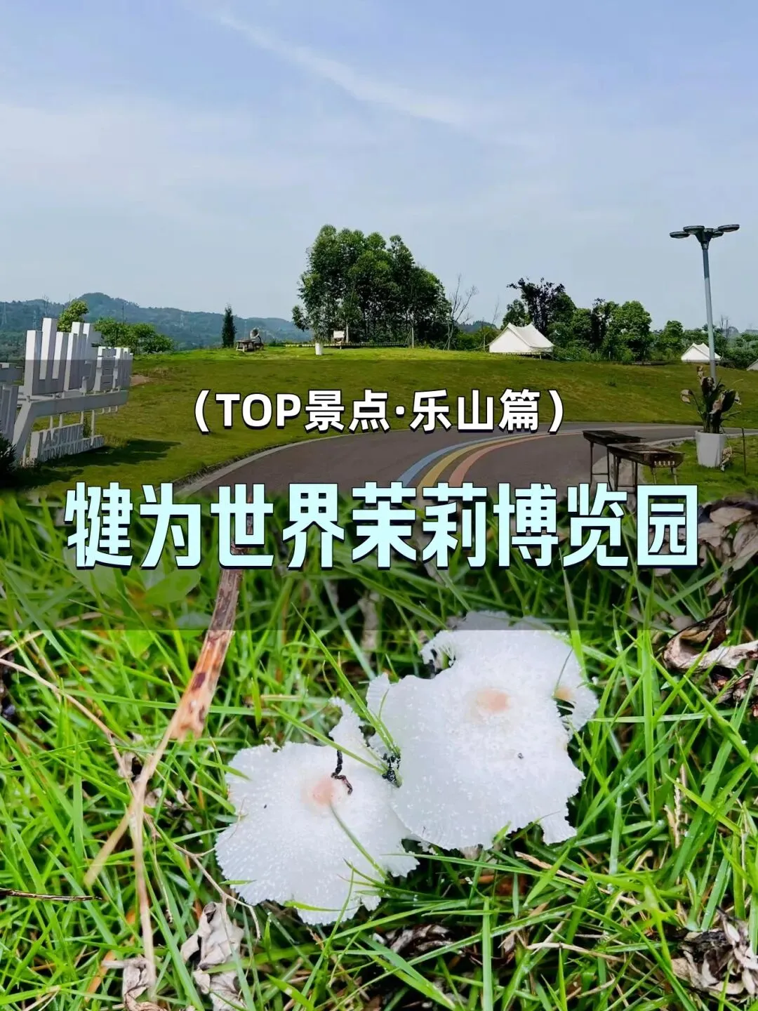 犍为世界茉莉博览园|万亩茉莉秘境 全域旅游攻略