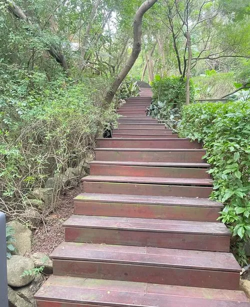 祈愿祈福+养氧登高!厦门忠仑山保姆级游玩攻略,串联忠仑寺、福德庙与环山观桥