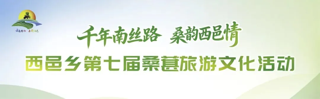 西邑桑葚丰收季丨周末来西邑,这期短途旅行攻略请您查收