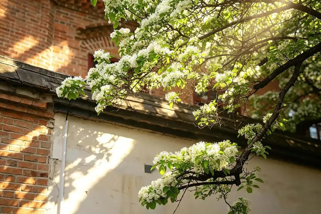 #福州旅游攻略#福州市区游玩三天两夜旅游攻略NO.1