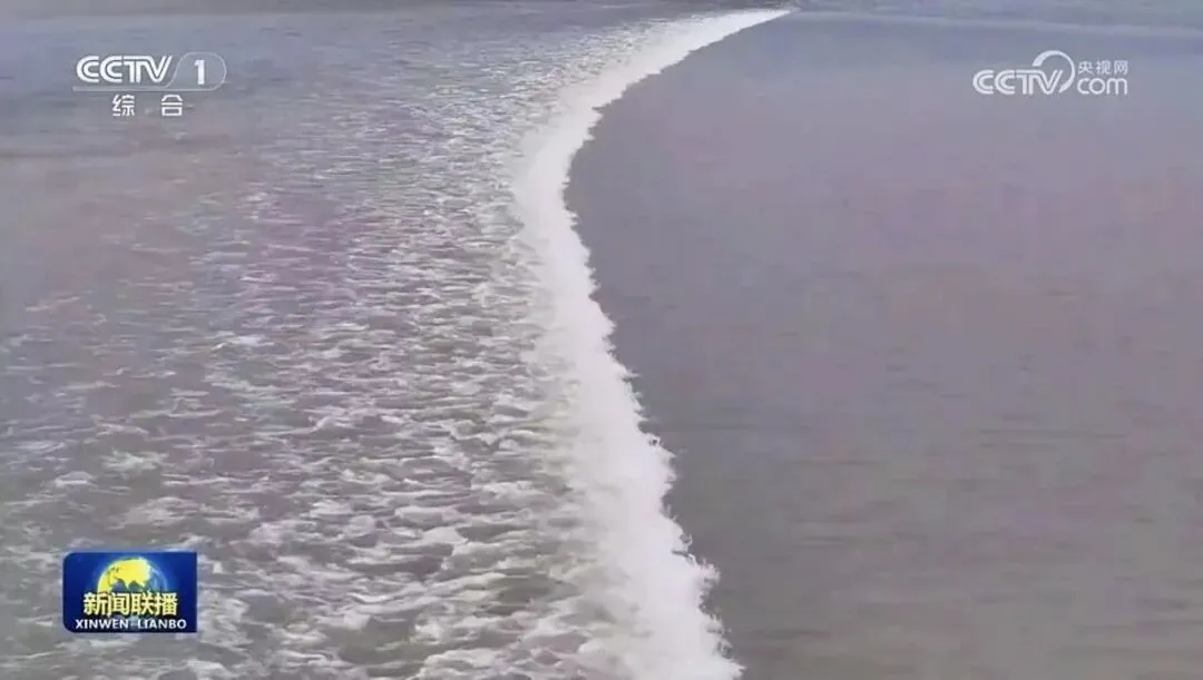 浙江海宁旅游攻略|钱塘江潮·千年古城·皮革之都