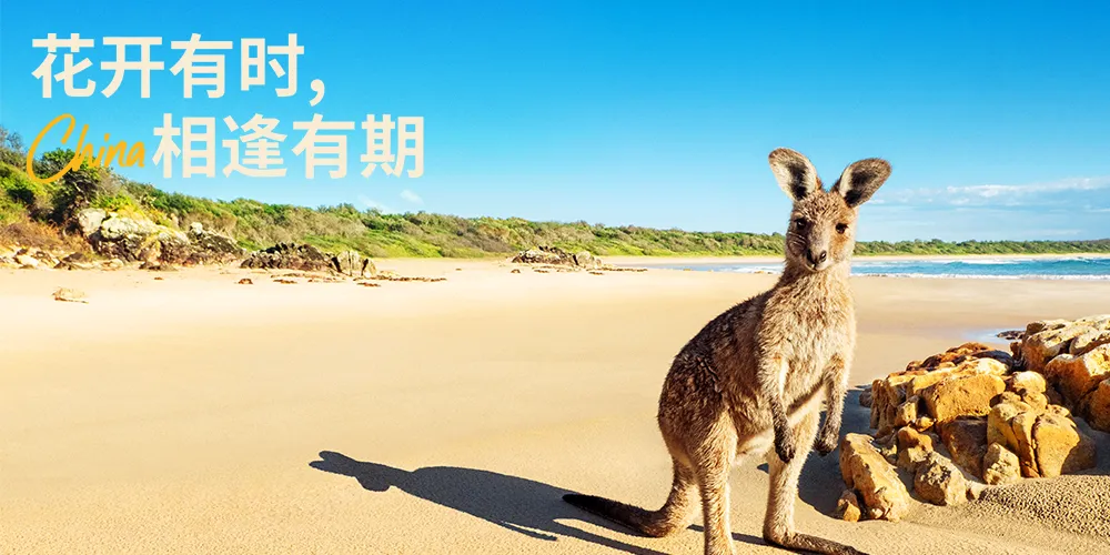 省流版:2023澳大利亚旅行指南