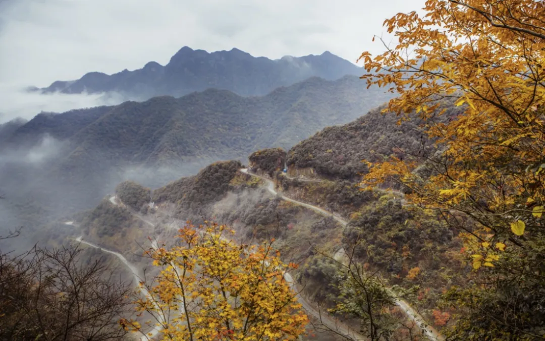 安徽最适合自驾的路线,不在黄山大环线,这一段古村连着山谷太治愈