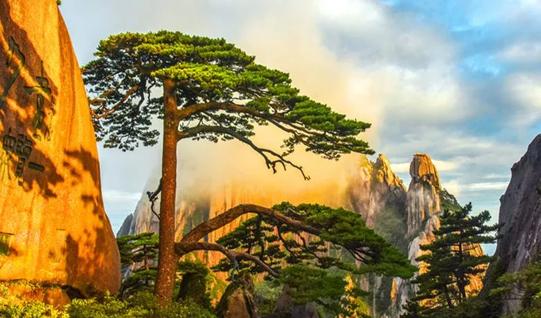 安徽旅游避坑指南,新手看完不踩雷