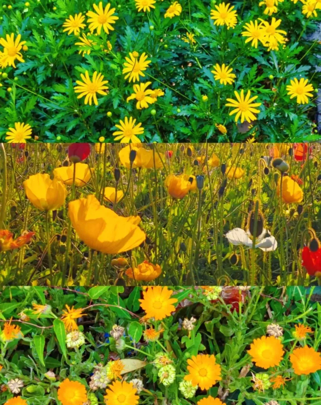 重庆到昆明周末两天旅游攻略