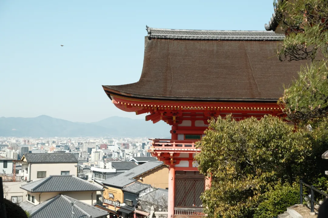 一份私人京都艺术旅行指南