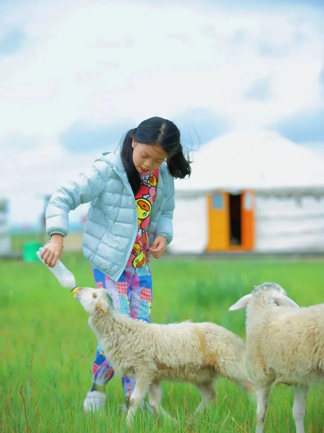 呼伦贝尔,阿尔山旅游攻略|6天5晚小众旅行,独立小包团