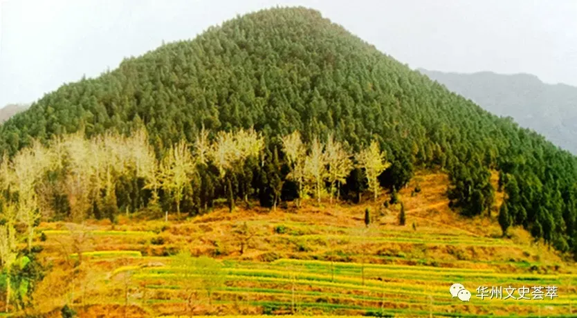我规划的华州圣山旅游区