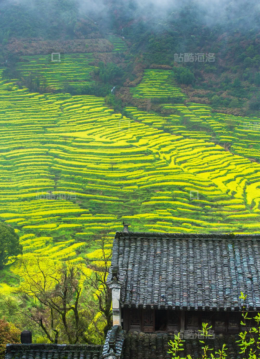 江西免费山水古村大合集!按季节规划行程,一篇吃透赣地风光