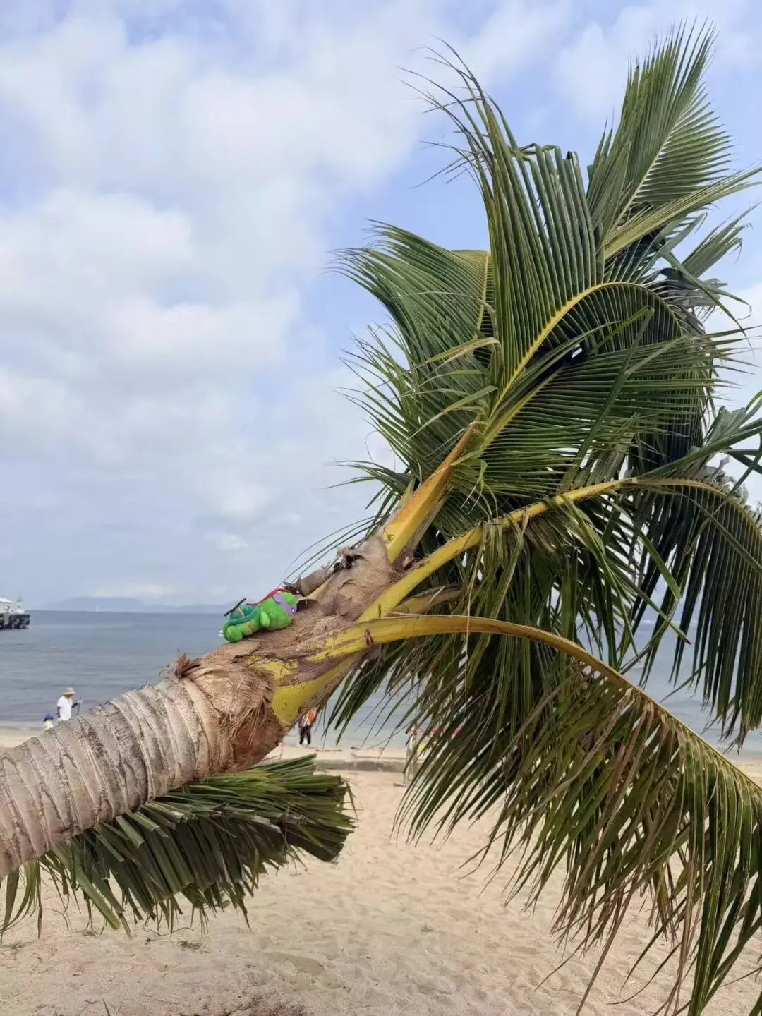 2026海南终极自由行攻略:不止三亚!解锁椰林、火箭与玻璃海的宝藏玩法