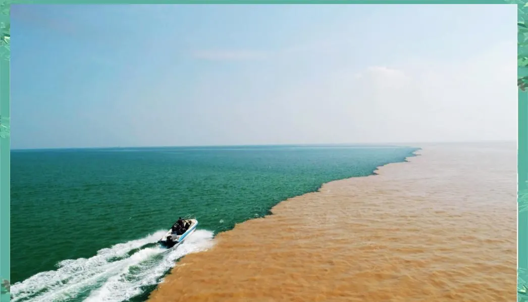东营黄河入海口周边免费景点!五一省钱攻略