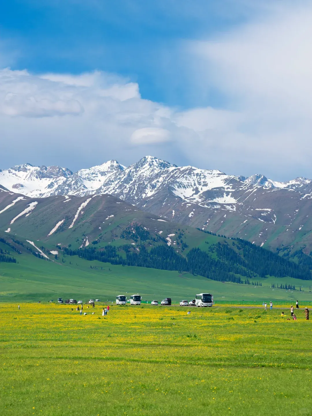 新疆伊犁8大草原旅游攻略,伊犁草原怎么选,看完这篇不纠结!
