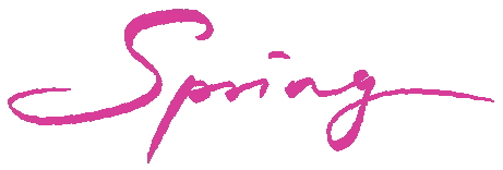 高速+文旅 | 2026 红荷湿地春假游玩攻略|免票政策 +游玩指南