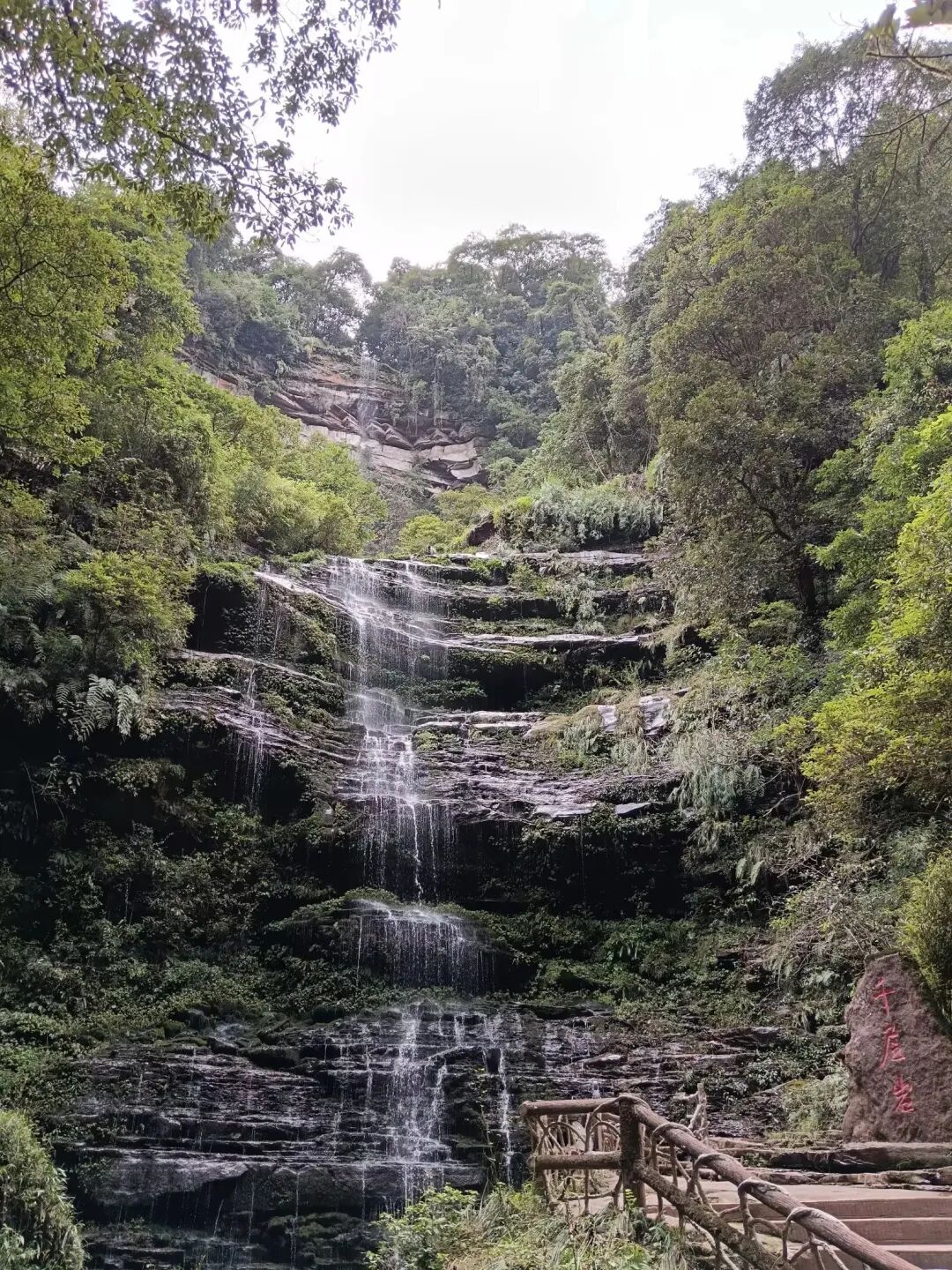 碧峰峡旅游景区旅游攻略|熊猫萌趣,峡谷秘境,赴一场自然康养之约