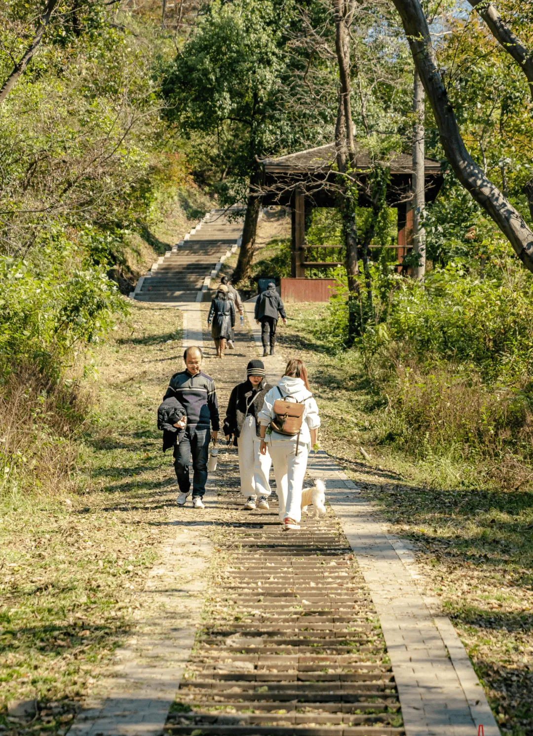 滦州古城周边免费景点!五一省钱攻略