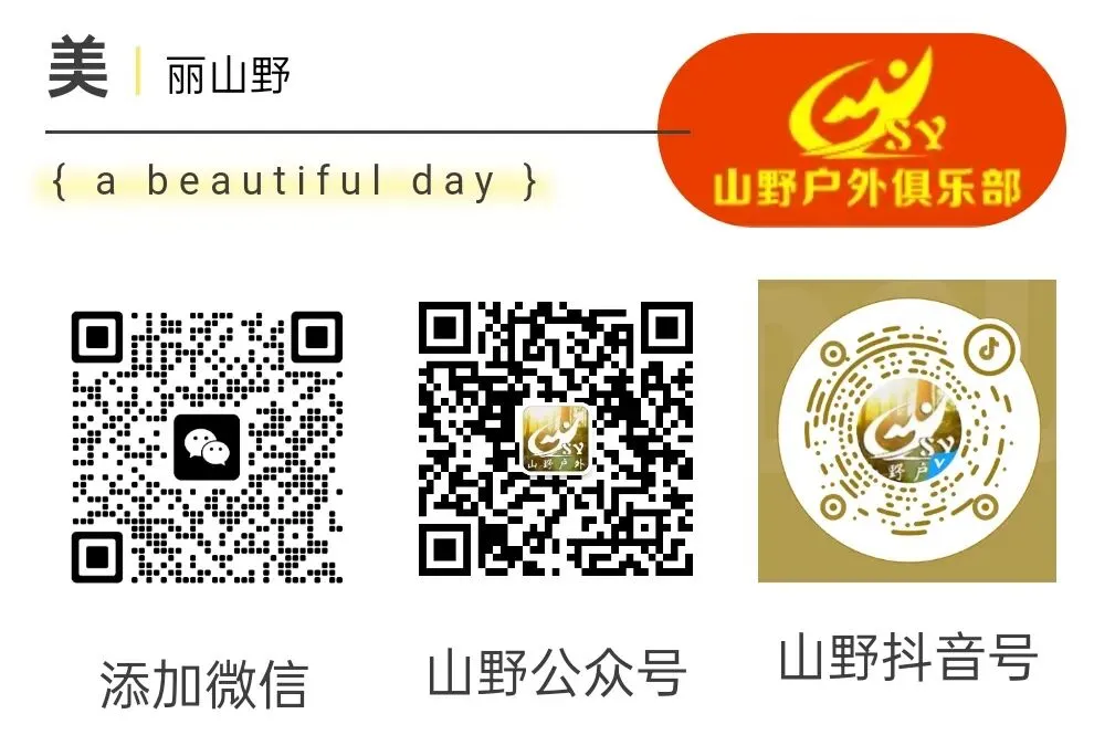 专注香港旅游计划