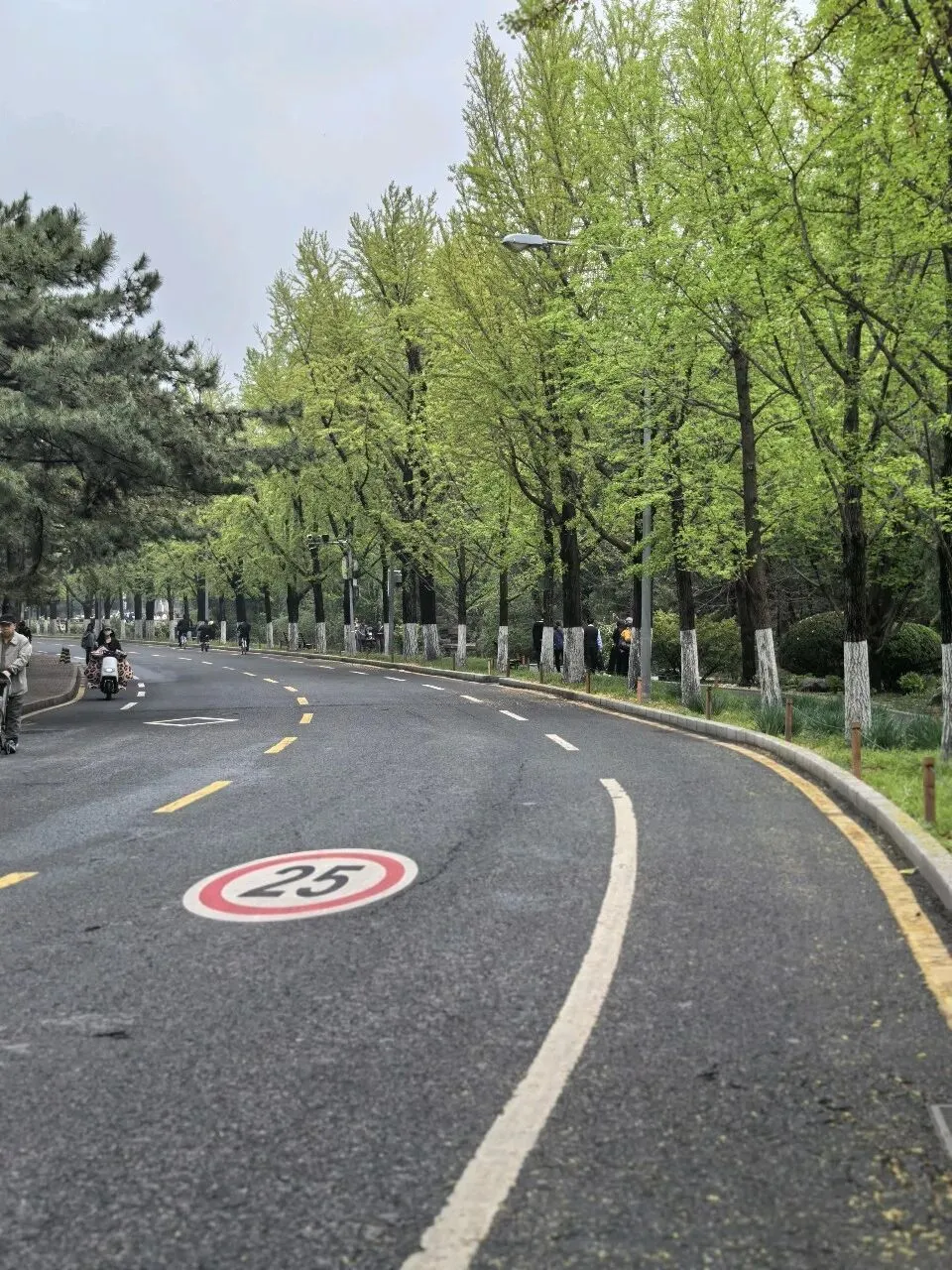 春假(临沂—北京)旅行第二天,清华大学+军事博物馆,后付攻略