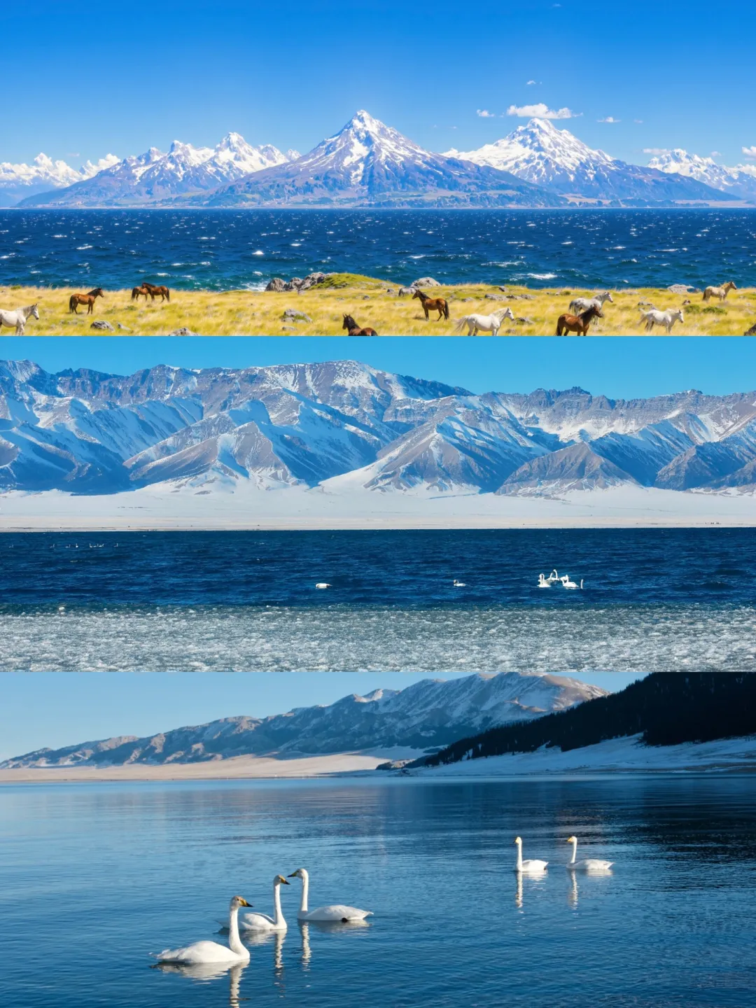 新疆旅游全攻略|赴一场跨越天山南北的治愈之约,新手也能轻松玩转