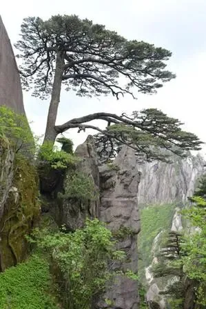 黄山亲身游玩攻略