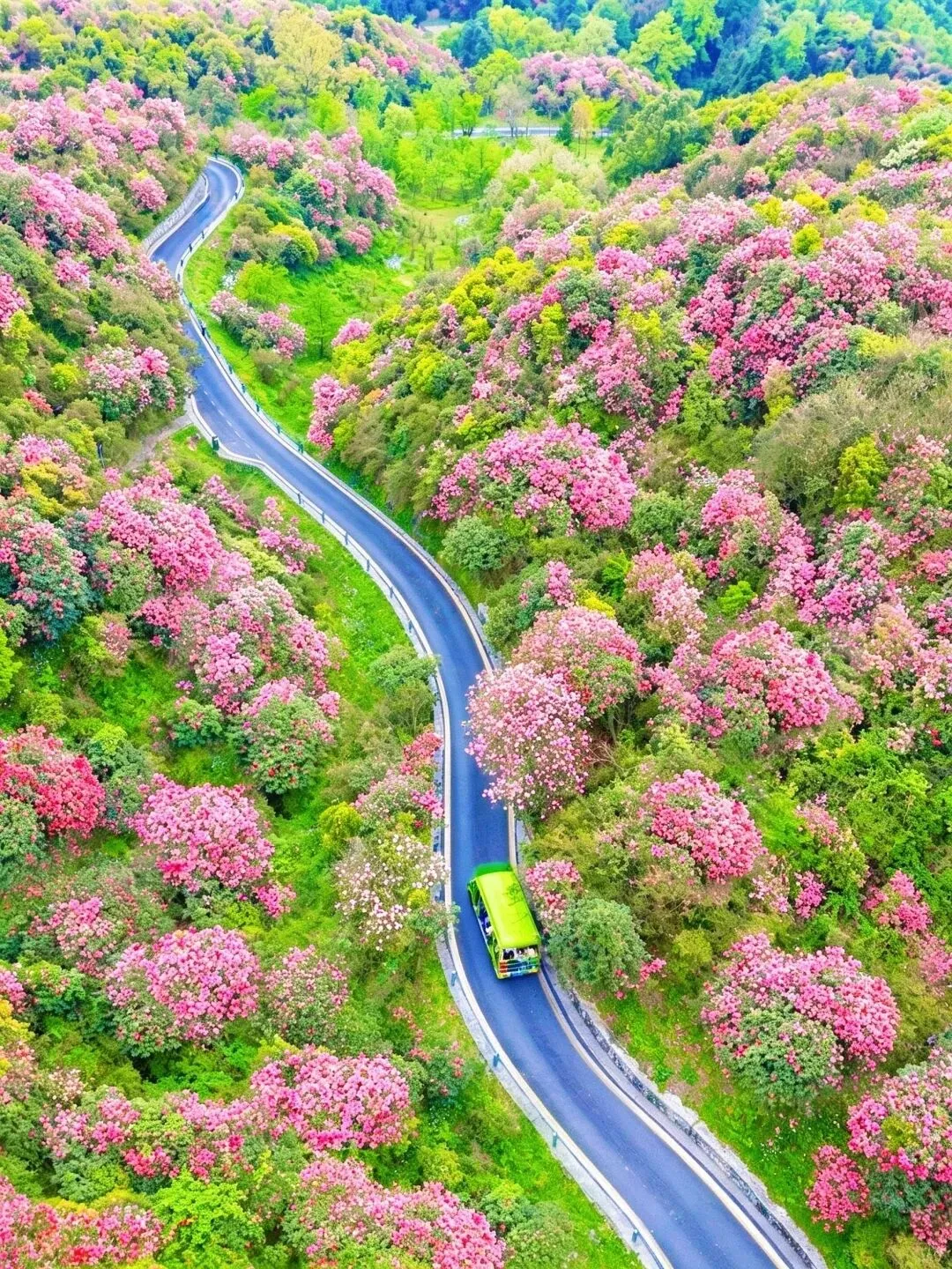 贵州旅游攻略,春天的贵州是万万次的春和景明!!