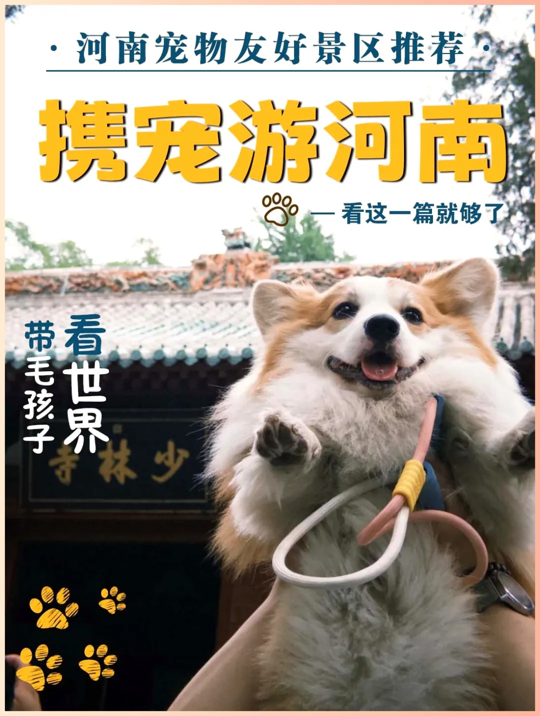 河南省内超全携宠旅游攻略