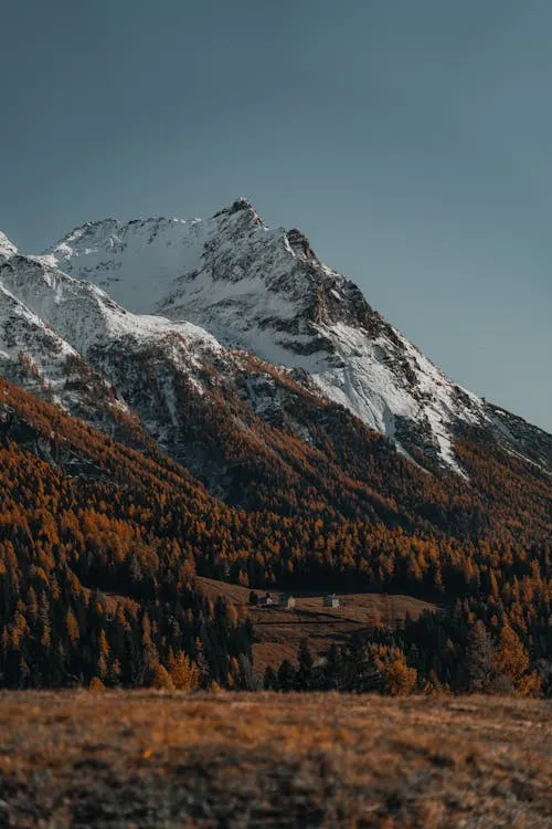 用AI规划旅游,我省下了3天做攻略时间