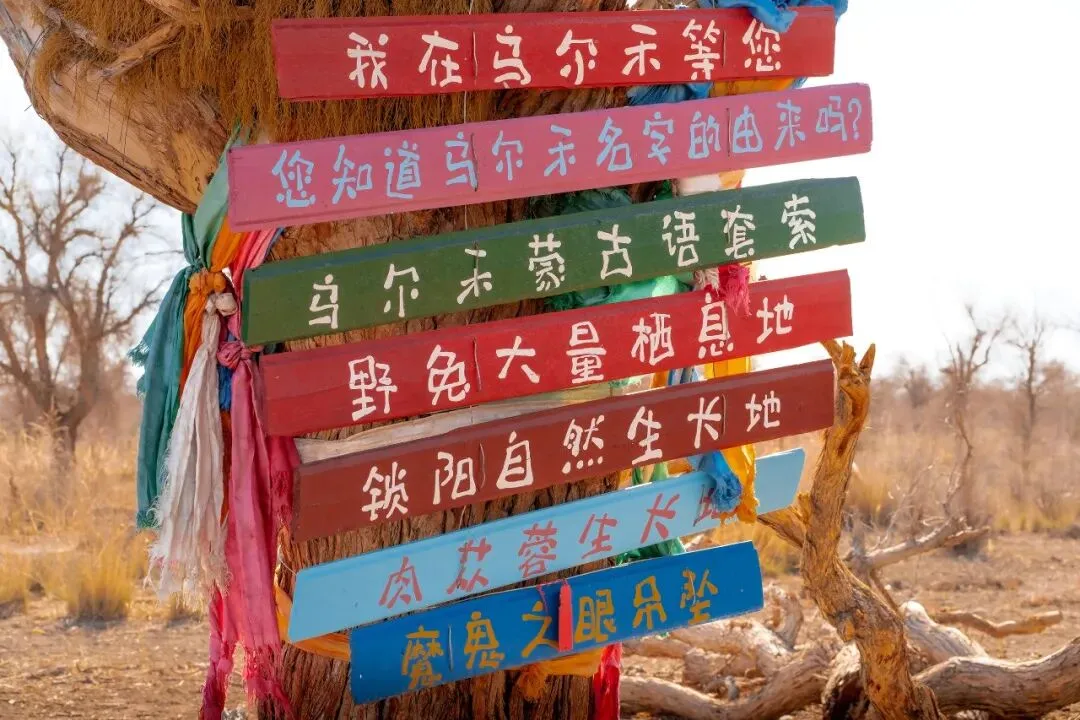 吉利中国星乌尔禾自驾游攻略来了