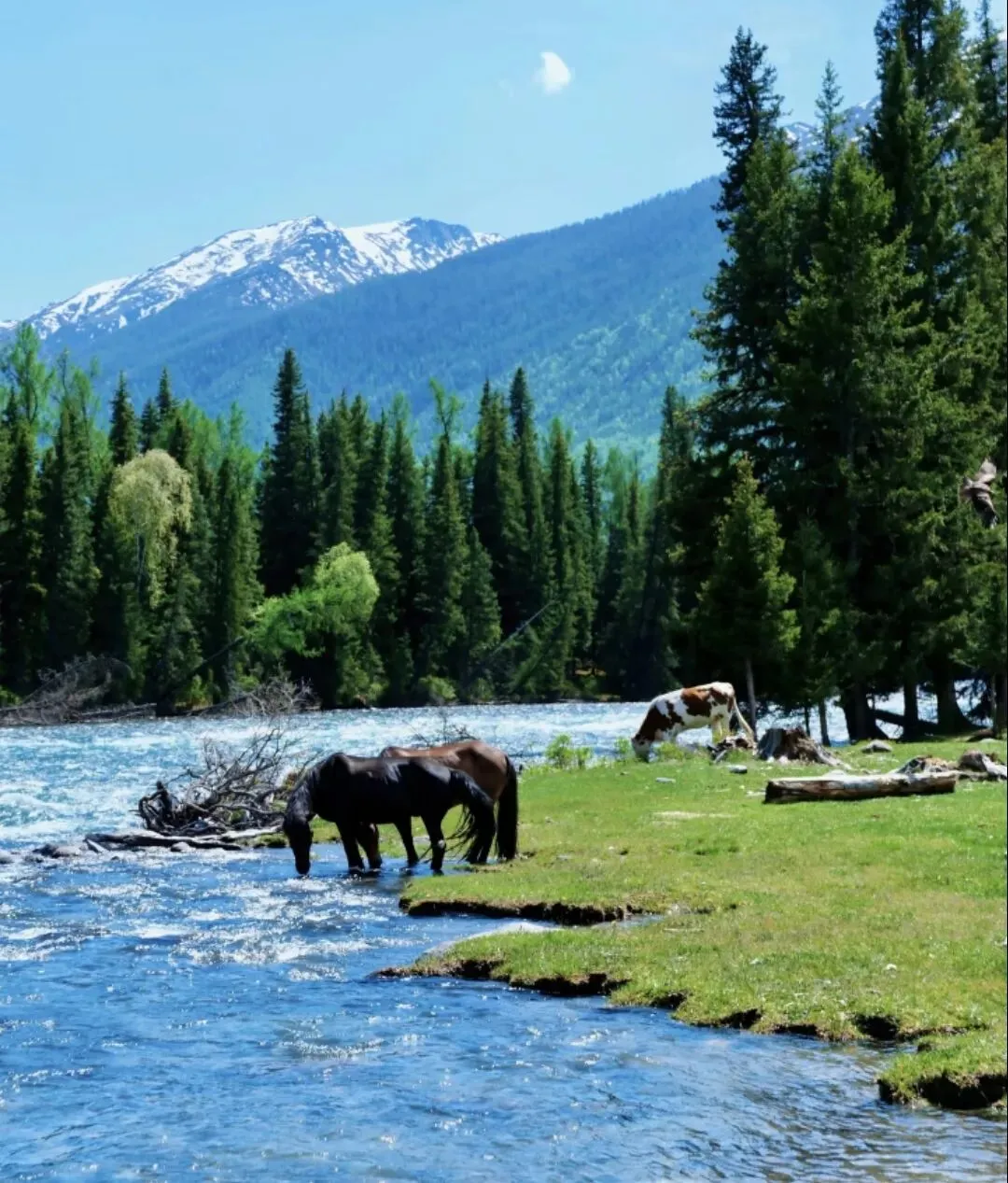 适合5月出行的3个旅行地,无需攻略!压力大了,就去静养三五天!