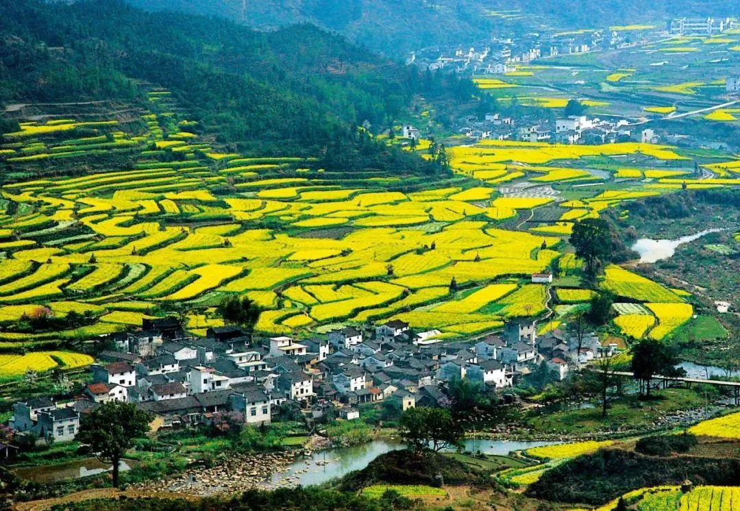 春天自驾封神!5 条绝美路线,三月一路花开一路景