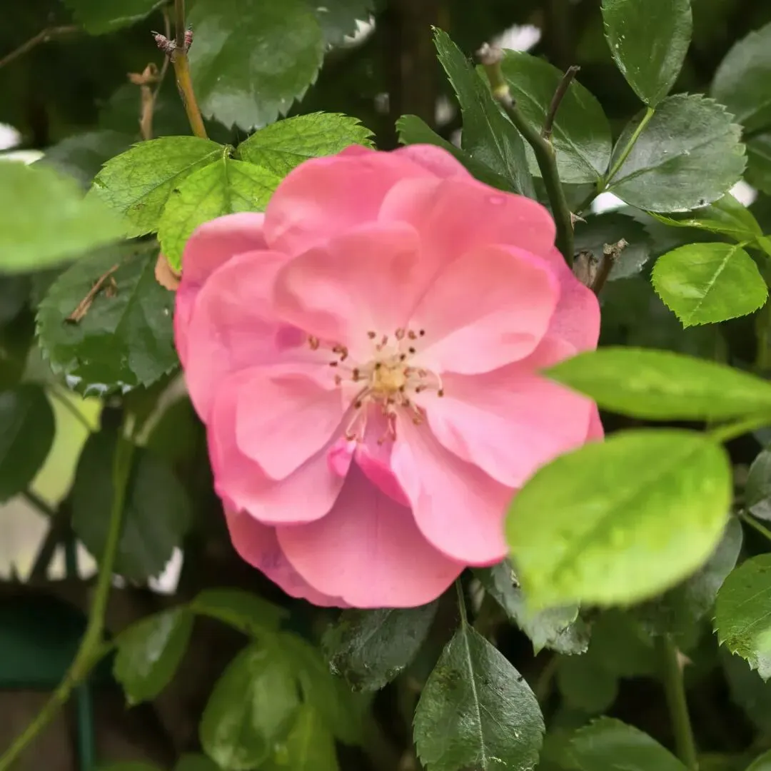 退休三年,他悄悄取消了所有旅游计划,邻居追问后才说出实情…