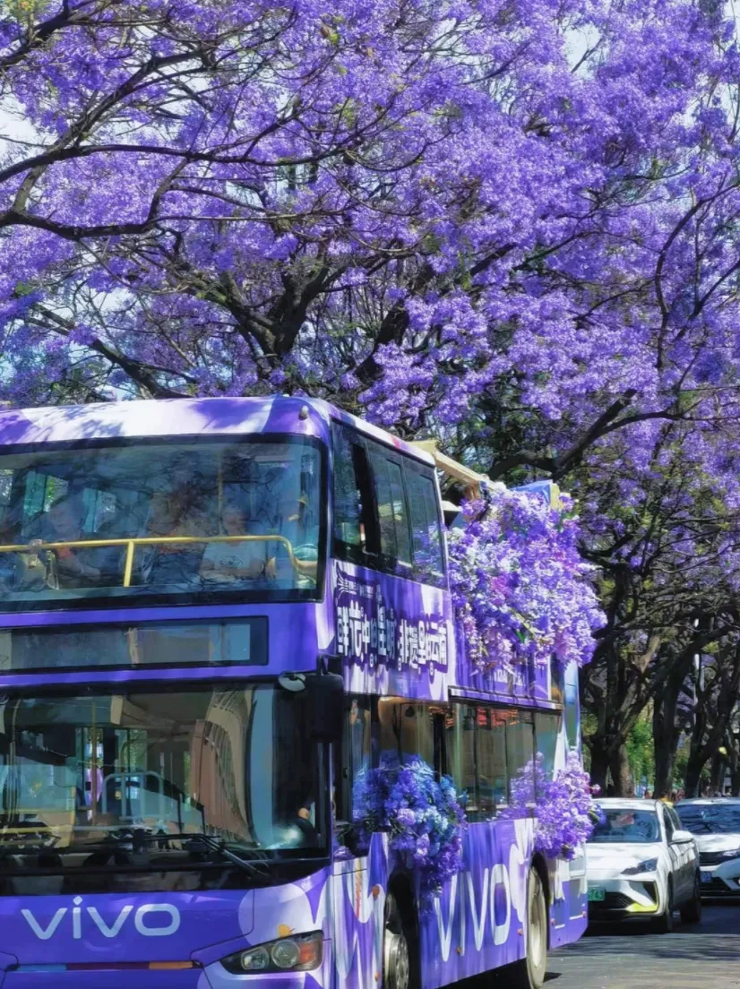 五一云南旅游全攻略:避开人潮,玩遍彩云之南的精华与秘境