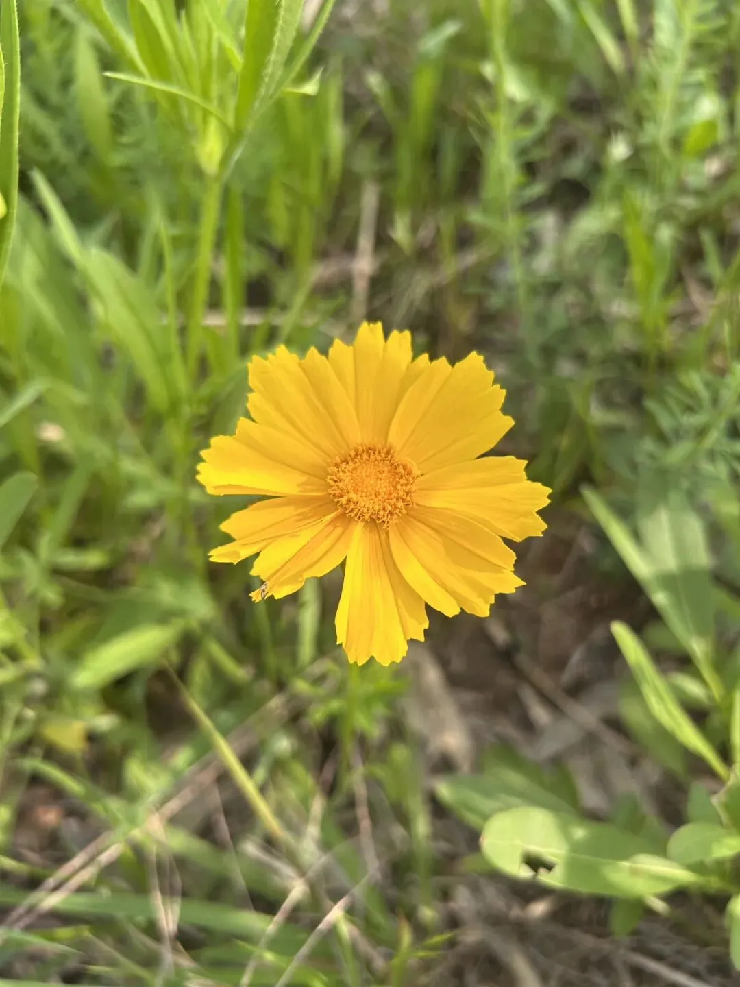 一分钟搞定旅游攻略